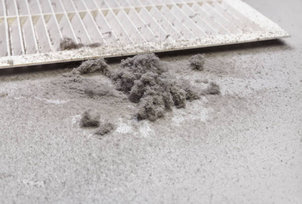 Best Affordable Duct Cleaning Services  in Knox, PA
