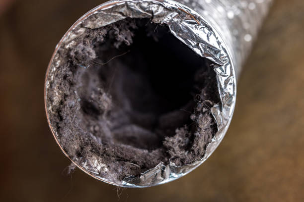 Best Ductwork Cleaning Services  in Knox, PA