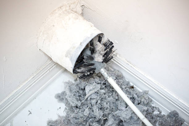 Best Local Air Duct Cleaning Services  in Knox, PA